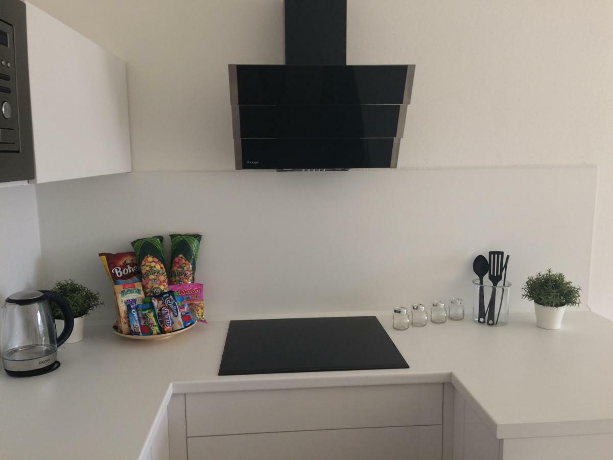 Apartman Dara リプノ・ナト・ヴルタヴォウ エクステリア 写真